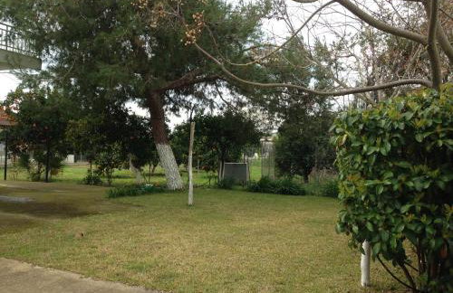 Kardiakafti Village - Foto 19