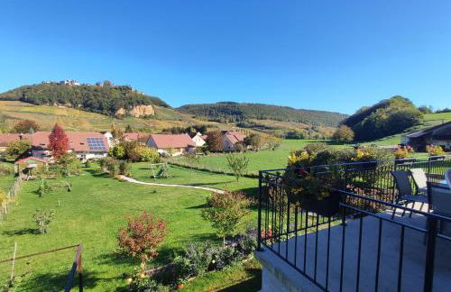 Gite des Cépages - Foto 19