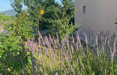 Apartman MARA - Foto 15