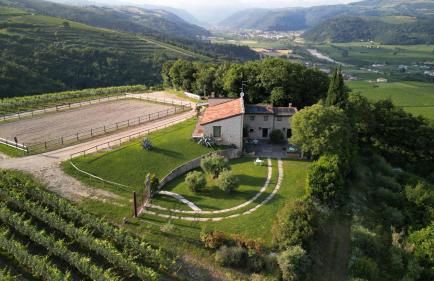 Tenuta Le Cave - Foto 76