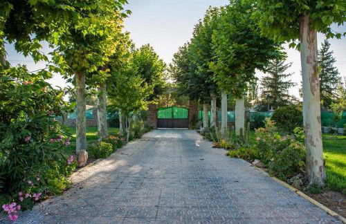 El puntazo del Tajo - Foto 3