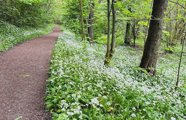 Guest Apartment Österlen Near Tosselilla & Golf Course - Foto 58