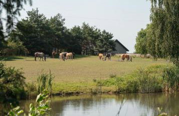 Domki Na Ranczo - Foto 27