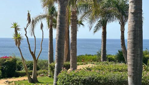 Vila Luz - Foto 4, Garden