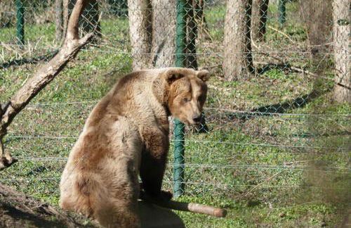 Ferienhaus TRAUM AM SEE mit Sauna und Whirlpool - Foto 32
