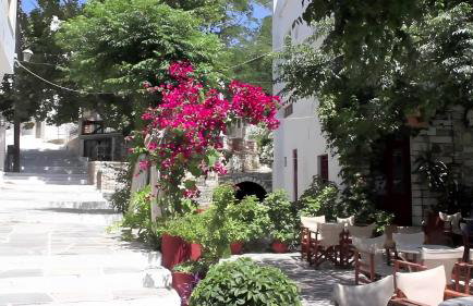 Zeus House - Foto 33