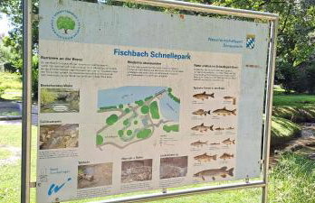 Ferienwohnung dolce casa - Photo 14