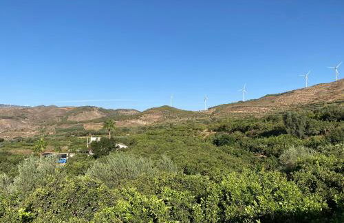 Molino Alto de Murchas - Foto 8