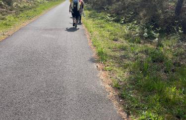 L'océan des Landes - La Dune - Photo 38
