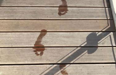 Hausboot Elandi - Foto 9