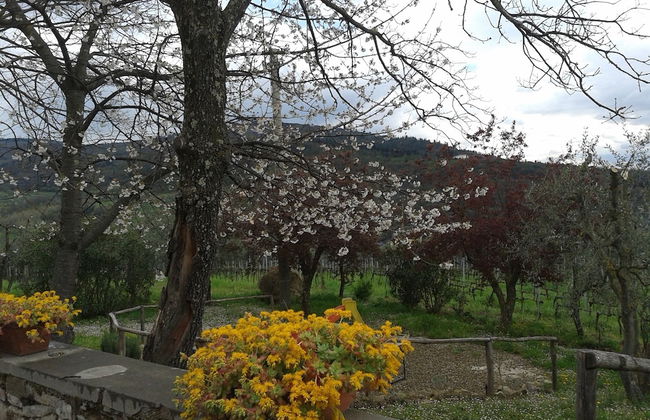 Agriturismo Poggiopiano - Photo 55