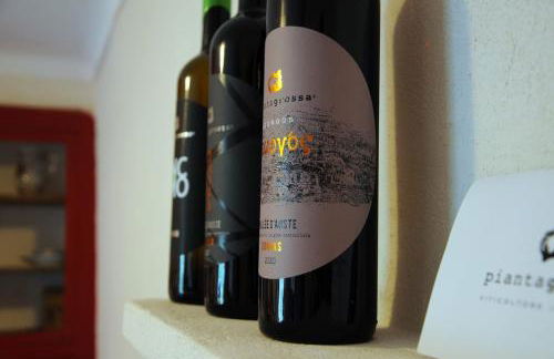 La Casa nel Nebbiolo - Foto 11