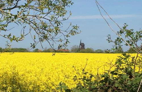 FeWo am Dorfteich - Foto 21