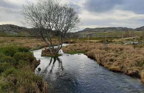 Apartamento Alegria - Foto 42