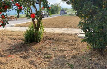 Agriturismo cergallina - Photo 24