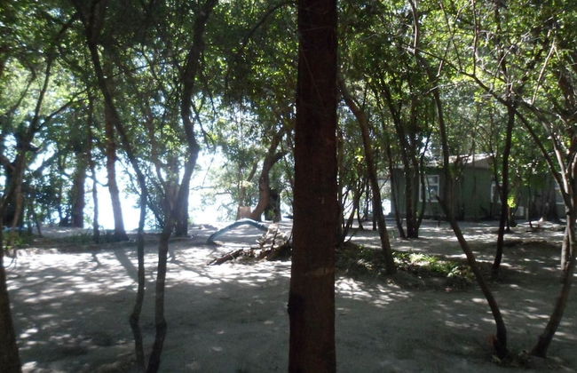 Ditlhapi Guest House - Foto 80