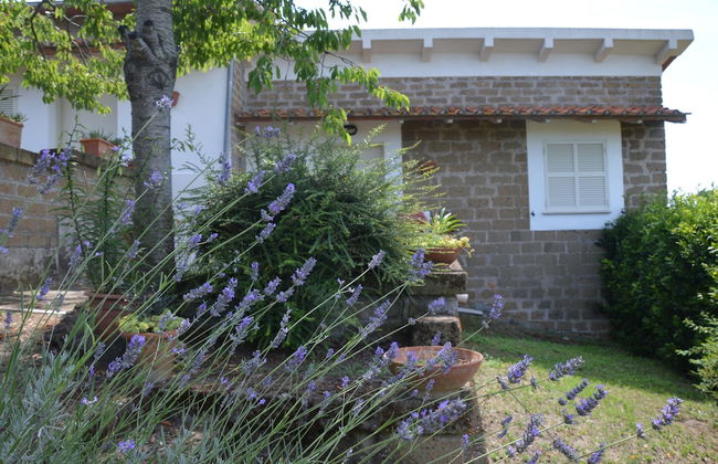 Tenuta Di Pontesodo - Foto 48