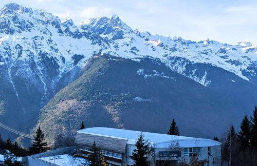 Studio 4 pers. pieds des pistes - Animaux admis - FR-1-393-188 - Foto 6