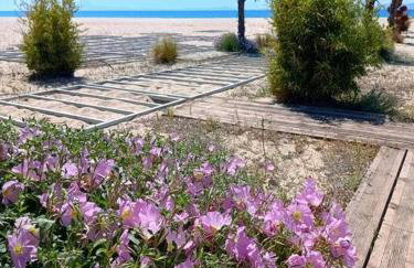 Hilltop Sea View - Foto 36