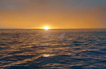 Skala Pearls A1 - Foto 33