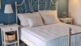 Little Blue - Photo 4