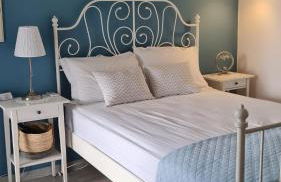 Little Blue - Photo 4