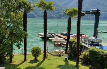 Le palme Antonella - Foto 1