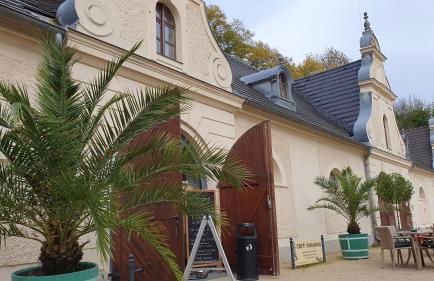 Moderne Ferienwohnung,Sauna im Haus, Parkplatz Hunde willkommen, nahe Schloss, Waldeisenbahn, Hermansbad, UNESCO Geopark, nahe polnischer Markt, Top Lage für Ausflugsziele zum Wandern oder Radfahren - Foto 32