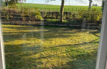 The Green House - Foto 5