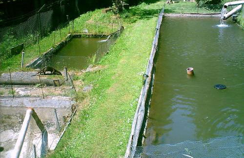 Haus Johanna - Foto 7