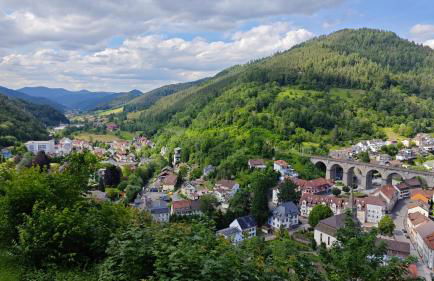 Schwarzwaldraum Schlossblick - Foto 34