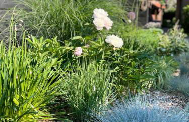 Weberhof - Münster 5 - Foto 46