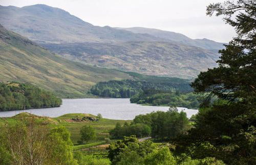 Capercaillie Cottage - Foto 14