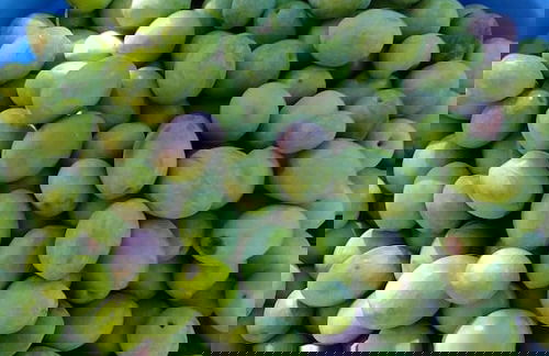 La Piana degli Ulivi - Foto 49