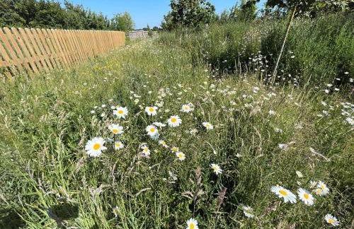 White House Lodges - Foto 27