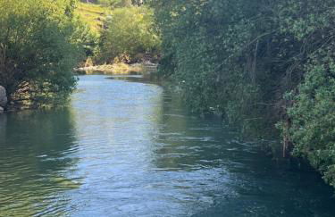 Casa Rural las Rosas de Benaojan - Photo 7