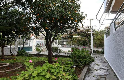 Nice house in Euboea - Foto 6