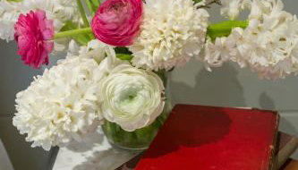 The Outbuilding Appledore - Foto 3