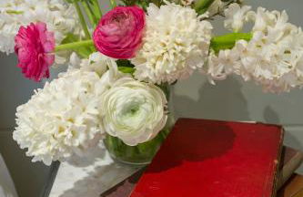 The Outbuilding Appledore - Foto 3