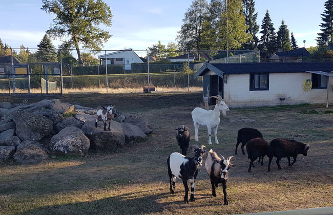 Holzchalet E - Foto 33