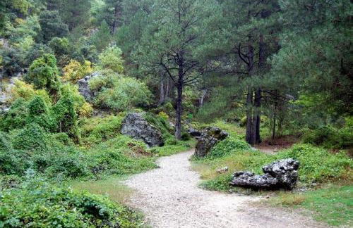 Casa Rural La Encina - Foto 6