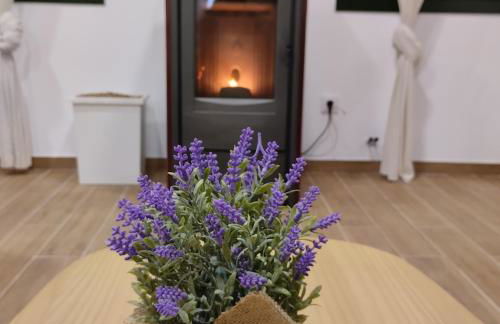 Casa Elvira, terraza con fabulosas vistas - Foto 17