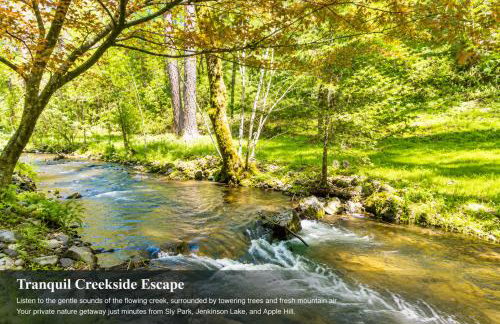 Secluded River Cabin Near Sly Park & Apple Hill - Photo 4