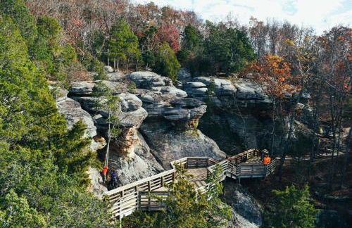 Family-Friendly 3BR Home w Bunk Room & Yard - Photo 58