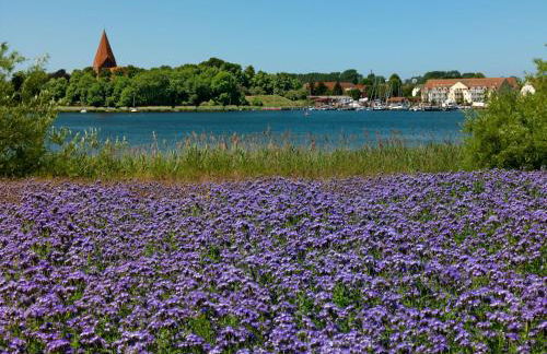 Ferienanlage Poschmann Strohboden - Foto 22