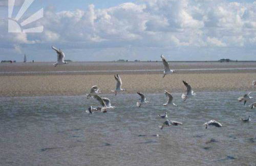 Am Kliff 9, Goting - Foto 12