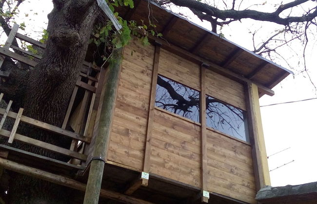 Agriturismo Via del Campo - Foto 37