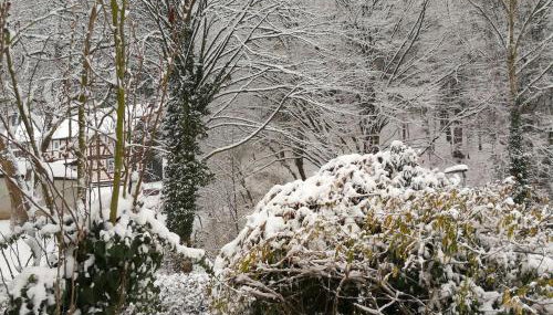 Ferienhaus Landhaus Am Hirtzborn - Foto 3