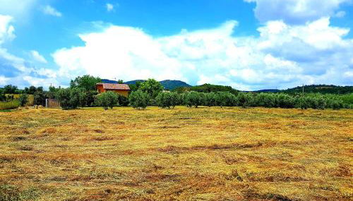 Villa Oliva - Foto 2