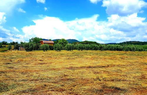 Villa Oliva - Foto 2